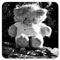 Teddy am Cruz de Ferro: Nimm mich mit; 100 m oder 10 km; so viel du willst!