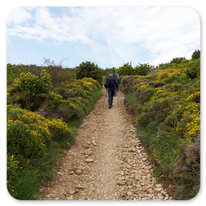 Aufstieg zum Monte Perdón