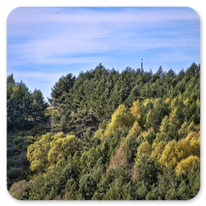 Der erste Blick auf das Cruz de Ferro