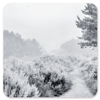 Zwischen dem Cruz de Ferro und Manjarin