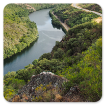 Immer weiter am Rio Sil