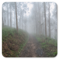 Noch immer schlechtes Wetter