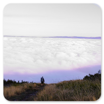 Der übliche Morgennebel am Camino Primitivo