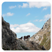 Im kantabrischen Gebirge