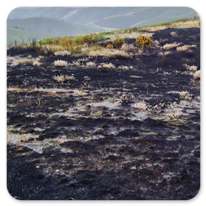 Überreste eines Brandes am Jakobsweg