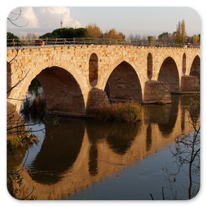 Puente de Piedra in Zamora